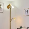 Cazis Lámpara de Pie LED Latón, 2 luces