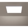 Lámpara de Techo Paul Neuhaus FRAMELESS LED Blanca, 1 luz, Mando a distancia