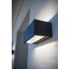 Lutec by Eco Light Aplique para exterior LED Antracita, 1 luz