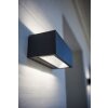 Lutec by Eco Light Aplique para exterior LED Antracita, 1 luz