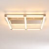 Beken Lámpara de Techo LED Acero bruñido, 1 luz