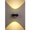 Globo RINAH Aplique para exterior LED Gris, 2 luces