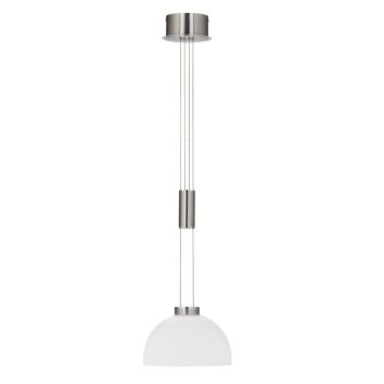 Fischer & Honsel Avignon Lámpara Colgante LED Níquel brillo, 1 luz