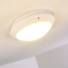 Grafton Lámpara de techo para exterior Blanca, 1 luz