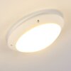 Grafton Lámpara de techo para exterior Blanca, 1 luz