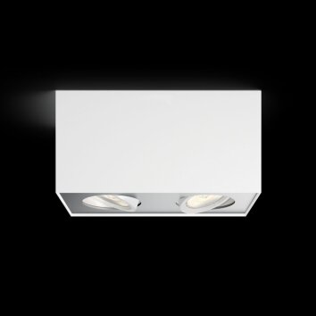 Philips Box Lámpara de Techo LED Blanca, 2 luces