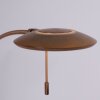 Steinhauer Zenith Lámpara de Pie LED Bronce, 1 luz