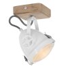 Steinhauer Gearwood Lámpara de Techo LED Blanca, 1 luz