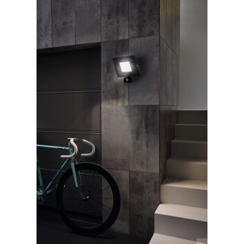 Eglo FAEDO Aplique para exterior LED Negro, 1 luz, Sensor de movimiento