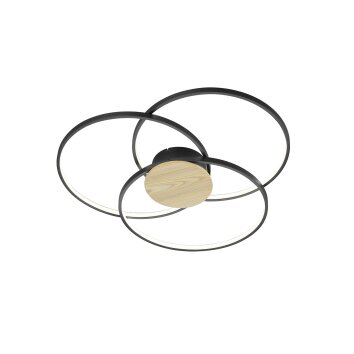 Trio Sedona Lámpara de Techo LED Negro, 1 luz