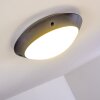 Grafton Lámpara de techo para exterior Antracita, 1 luz