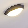 Grafton Lámpara de techo para exterior Antracita, 1 luz