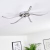Saskatoon Lámpara de techo LED Níquel-mate, 5 luces