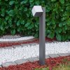 Swanek Poste de Jardín LED Antracita, 1 luz