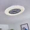 Petrovac Ventilador de techo LED Cromo, Blanca, 1 luz, Mando a distancia