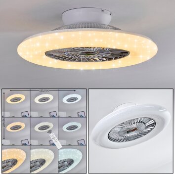 Petrovac Ventilador de techo LED Cromo, Blanca, 1 luz, Mando a distancia