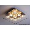 Wofi Cholet Lámpara de techo LED Níquel-mate, 9 luces