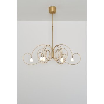 Holländer ROSASPINA OVAL Lámpara Colgante dorado, 6 luces