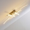 Kosola Lámpara de Techo LED Níquel-mate, 4 luces