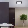 Leuchten-Direkt FLAT Lámpara de Techo LED Negro, 1 luz, Mando a distancia