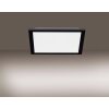 Leuchten-Direkt FLAT Lámpara de Techo LED Negro, 1 luz, Mando a distancia