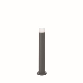 Ideal Lux VENUS Poste de Jardín Antracita, 1 luz Ideal Lux VENUS Poste de Jardín Antracita, 1 luz