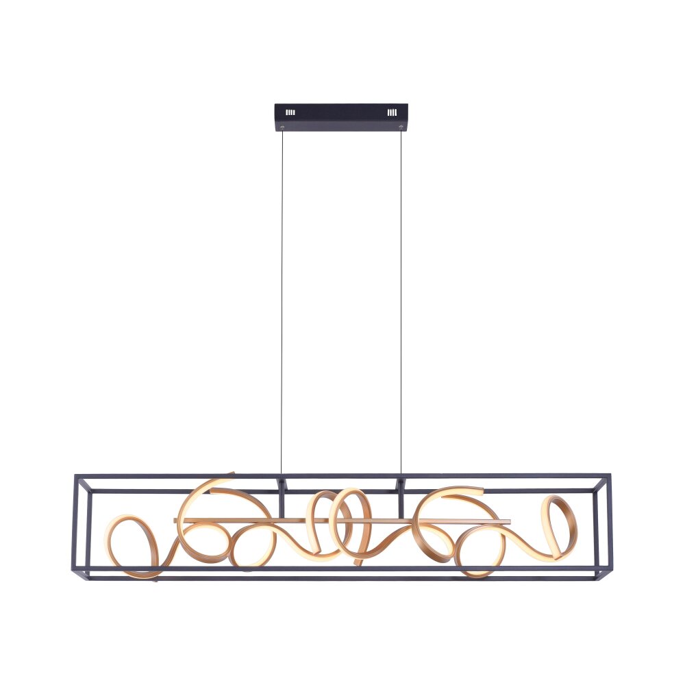 Paul Neuhaus SELINA Lámpara Colgante LED Negro, 4 luces main product photo