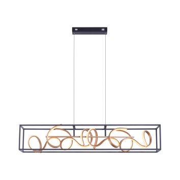 Paul Neuhaus SELINA Lámpara Colgante LED Negro, 4 luces