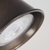Skodsbol Lámpara de Techo Antracita, Madera clara, 2 luces