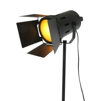 Steinhauer MEXLITE Lámpara de Pie Negro, 1 luz