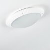 Grafton Lámpara de techo para exterior Blanca, 2 luces