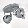 Glostrup Lámpara de Techo LED Gris, 2 luces