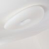 Jelsa Lámpara de Techo Blanca, 1 luz