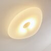 Jelsa Lámpara de Techo Blanca, 1 luz