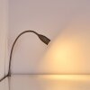 Alsea Lámpara de cama LED Níquel-mate, 1 luz, Sensor de movimiento
