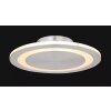 Globo UFO Lámpara de Techo LED Vidrio, 1 luz