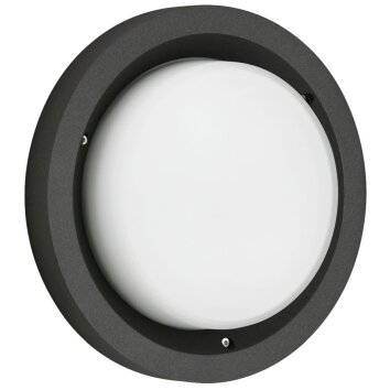 Albert 6410 Lámpara de techo para exterior LED Negro, 1 luz