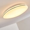 Genthin Lámpara de Techo LED Blanca, 1 luz