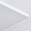 Bankura Lámpara de Techo LED Blanca, 1 luz, Mando a distancia