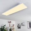 Bankura Lámpara de Techo LED Blanca, 1 luz, Mando a distancia