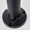 Palanga Lámpara de Pie Negro, 1 luz