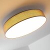 Victoria Lámpara de techo LED Blanca, 1 luz
