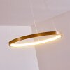 Canisteo Lámpara Colgante LED dorado, 1 luz
