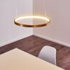 Canisteo Lámpara Colgante LED dorado, 1 luz