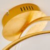 Wengi Lámpara de Techo LED dorado, 1 luz