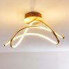 Wengi Lámpara de Techo LED dorado, 1 luz
