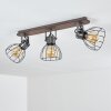 Bitterroot Lámpara de Techo Gris, Madera oscura, 3 luces