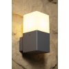 Trio HUDSON Aplique para exterior Acero inoxidable, 1 luz