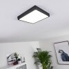 Kragos Lámpara de Techo LED Negro, Blanca, 1 luz