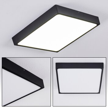 Kragos Lámpara de Techo LED Negro, Blanca, 1 luz